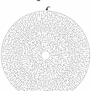 Svær labyrint til børn - find vej til midten